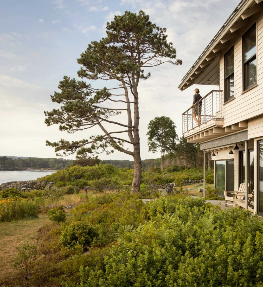A person stands on a balcony of a design-build house overlooking a scenic, rocky shoreline with a large tree and lush greenery in the foreground.