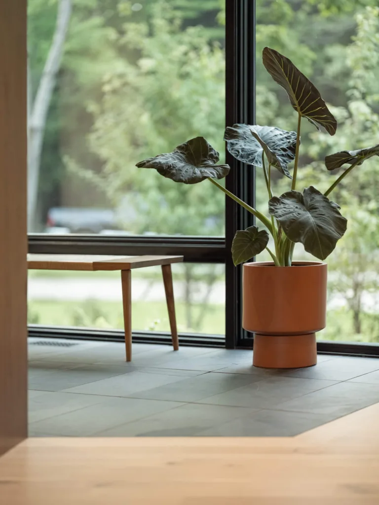 Contemporary interior of a luxury home in New Gloucester, Maine, featuring a corner window with a potted plant and wooden bench, blending modern design with nature