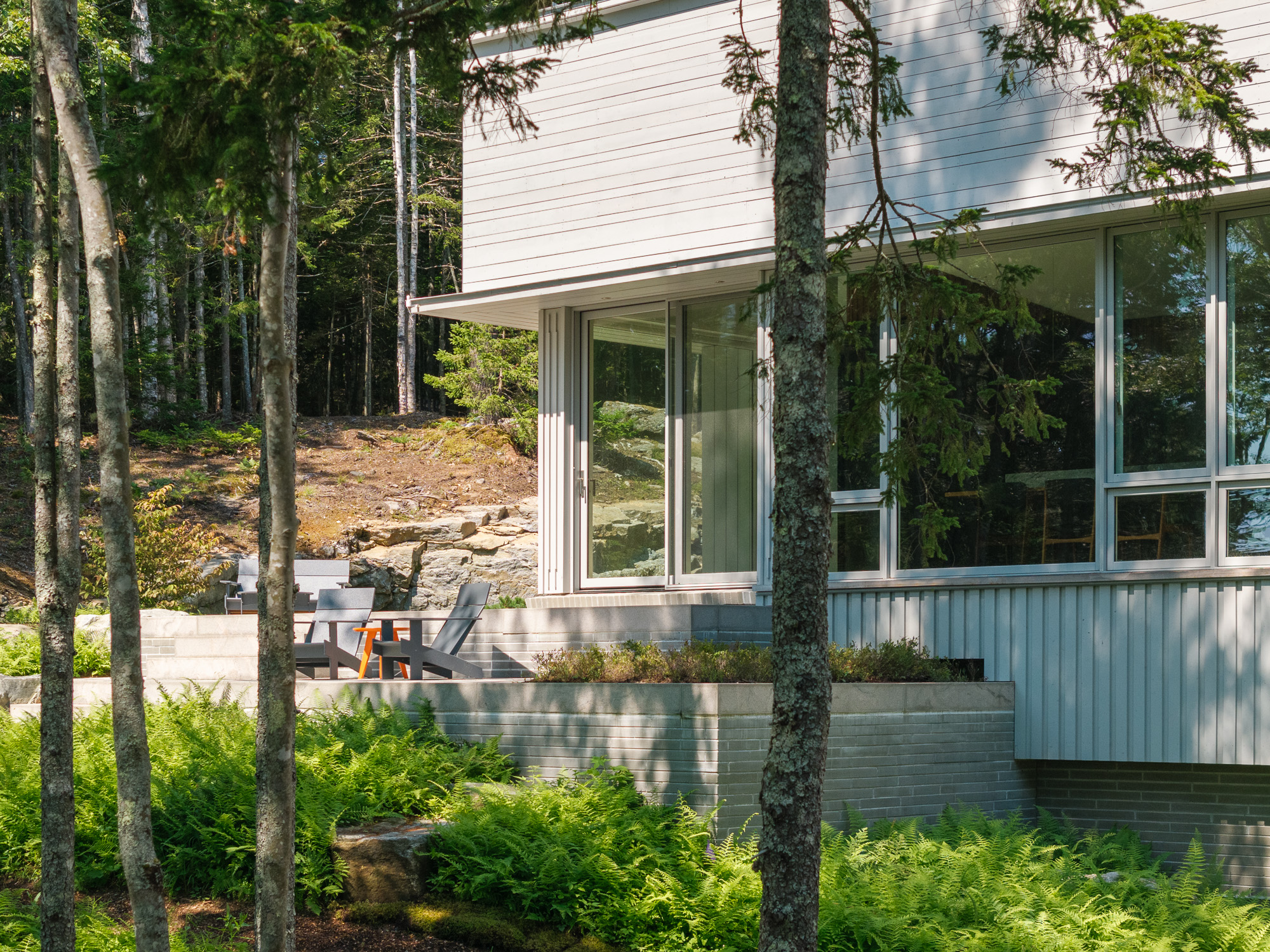 Modern house with large windows, surrounded by trees and lush green ferns, with an outdoor seating area on a stone patio in a forest setting.
