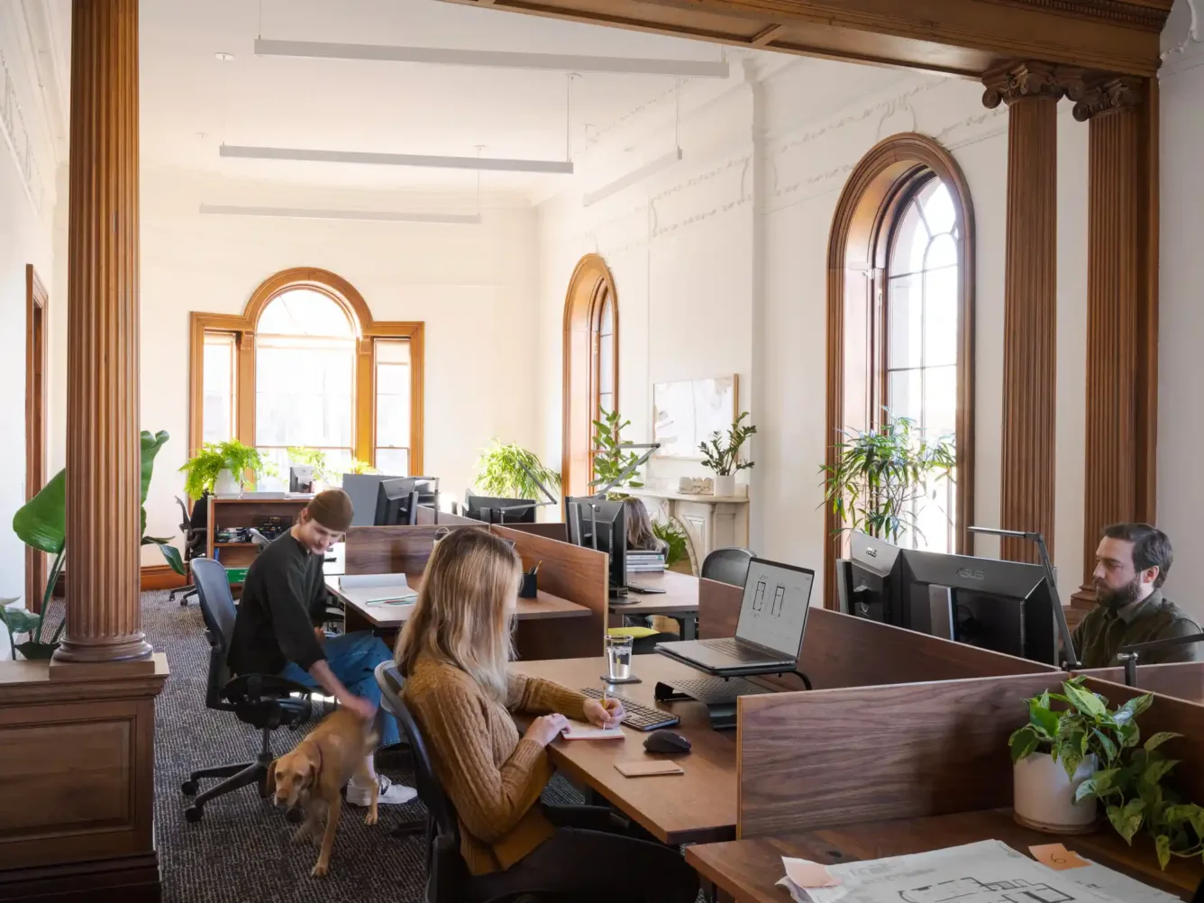 Open office workspace with arched windows, green plants, and wood desks. Employees collaborate in the bright, airy, and inviting space at Woodhull's new office.