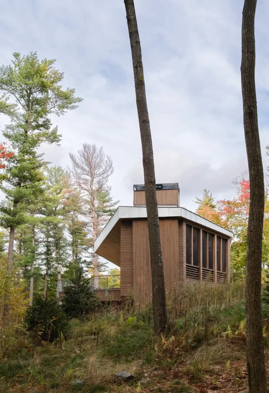 A side profile of a contemporary residence nestled in a wooded setting, showcasing natural wood siding and modern design. The vertical lines of the architecture complement the towering trees surrounding the property.