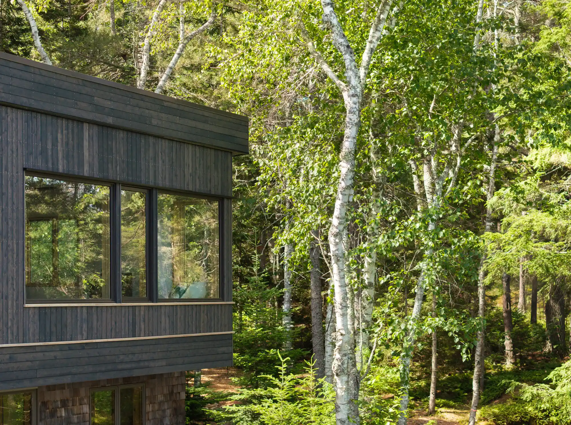 Exterior of modern home featuring large picture window and wooded surroundings