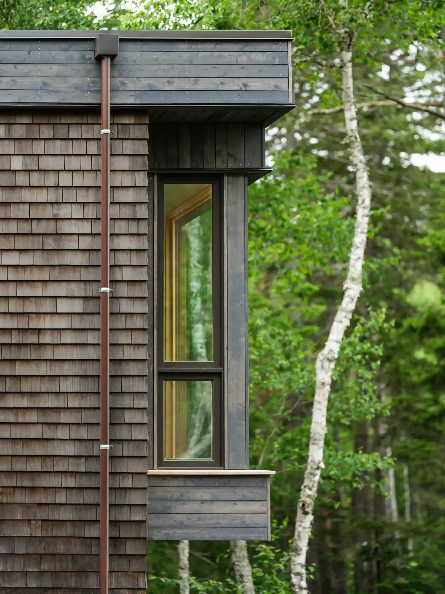Modern home exterior nestled among trees in Walpole, Maine River View renovation