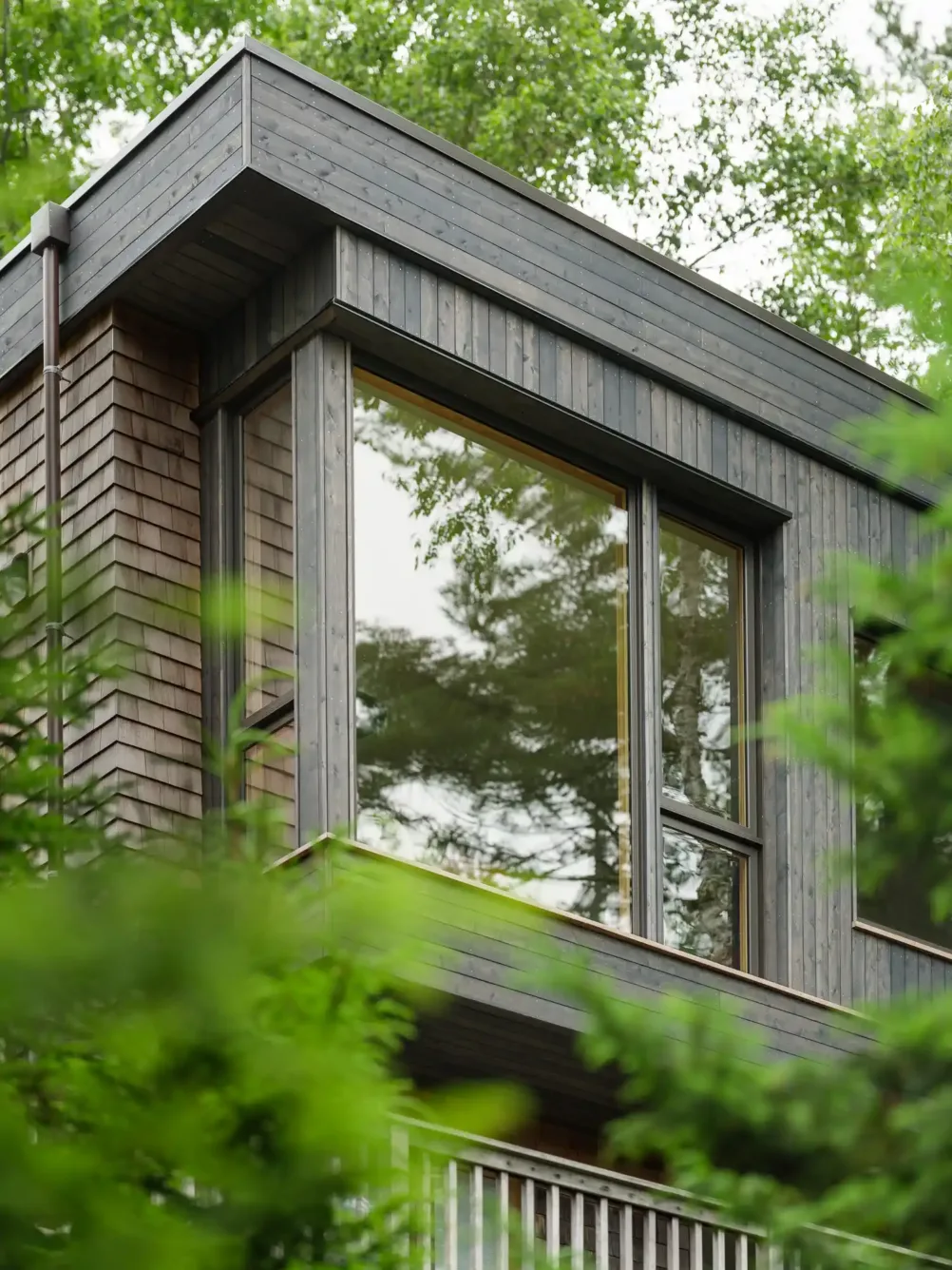 Modern riverfront home with cedar siding in wooded setting, part of River View renovation