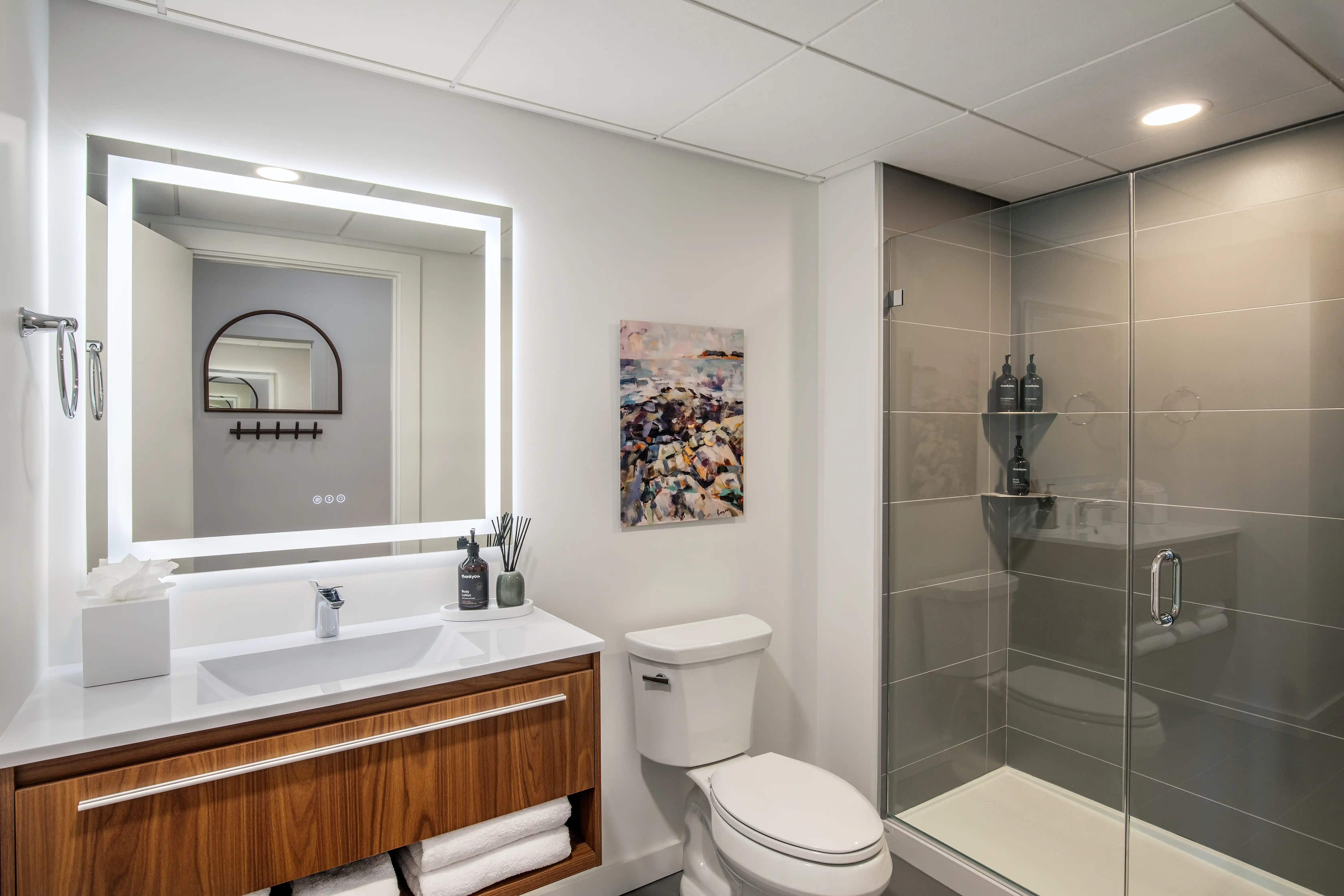 Modern bathroom at the Weldon Hotel, constructed by Woodhull, featuring a walnut vanity, backlit mirror, glass-enclosed tiled shower, and contemporary artwork.
