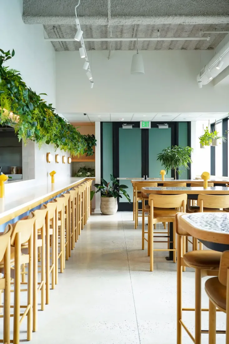Modern, bright restaurant interior with wooden chairs and tables, green plants along the wall and in pots, and large glass doors at the back.