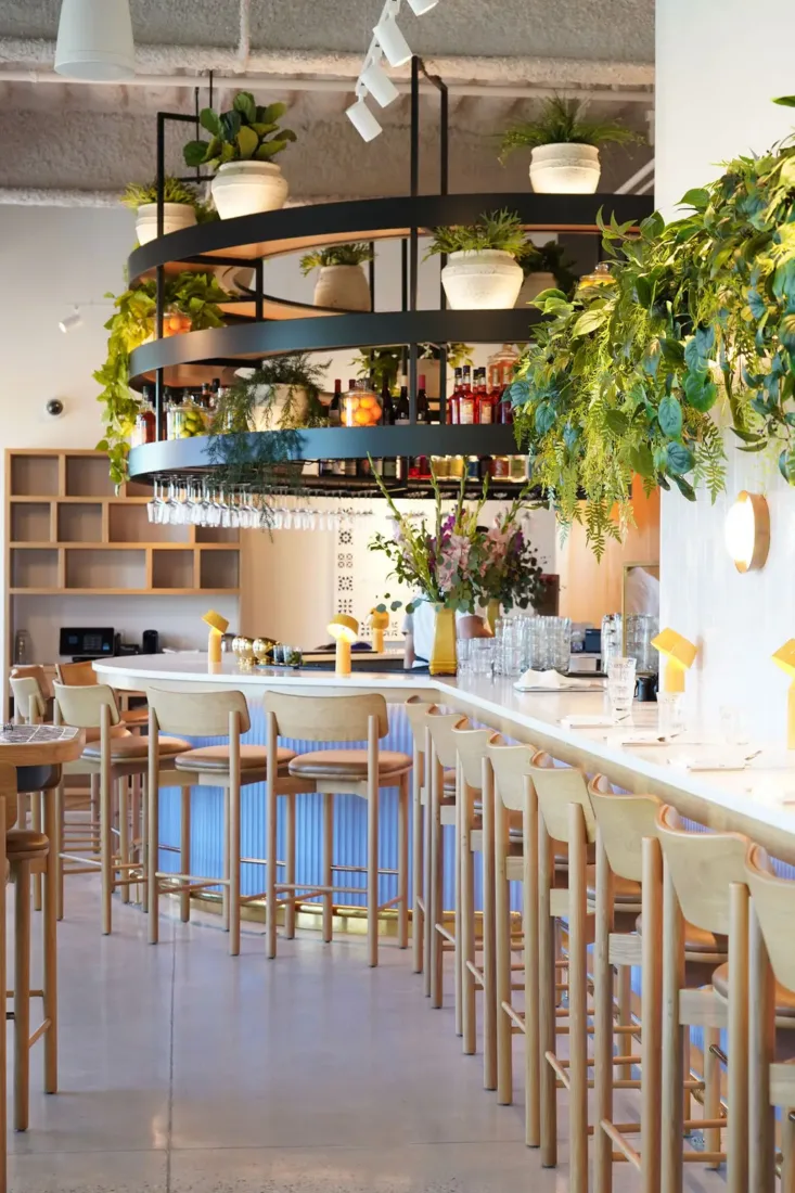 A modern bar with wooden stools, hanging plants, and shelves of bottles. The space is bright, with greenery and soft lighting creating a welcoming atmosphere.