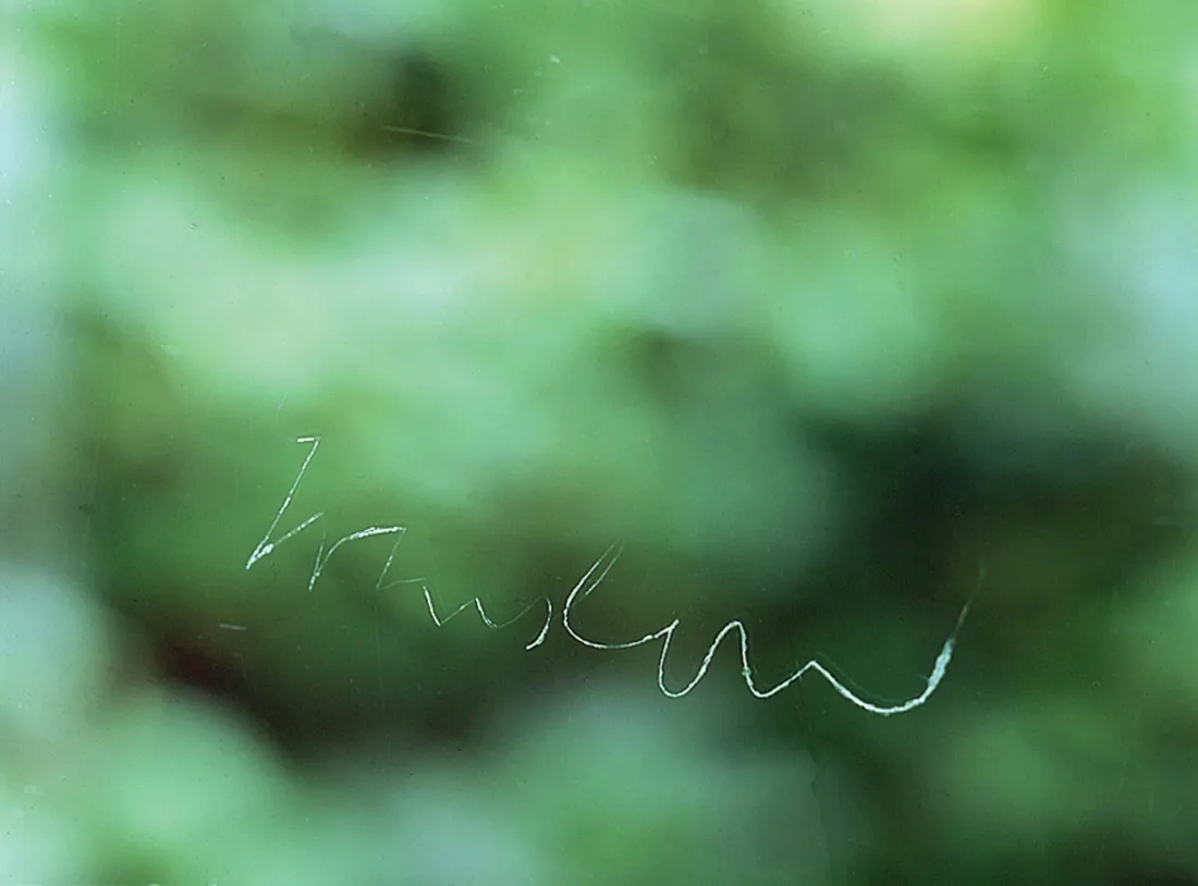 A signature etched in cursive on a glass surface against a blurry green background.